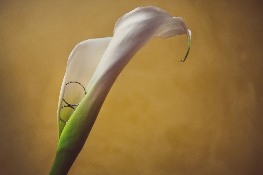 Düğün fotoğrafçısı Mircea Ciuca (mirceaciuca). 3 Aralık 2016 fotoları