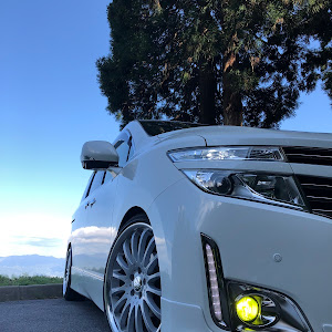 エルグランド TE52