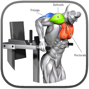 Download Gym Workout Chart For PC Windows and Mac