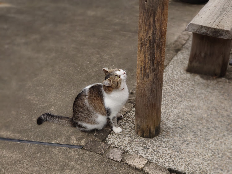 の投稿画像7枚目