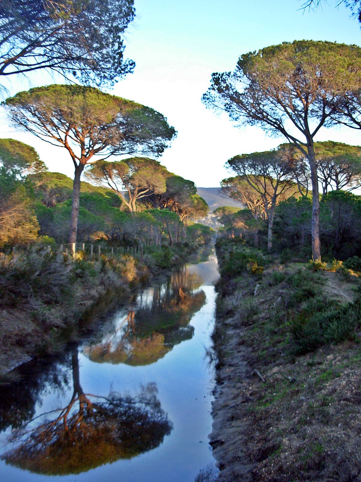 Riflessi nello stagno di FransuaR