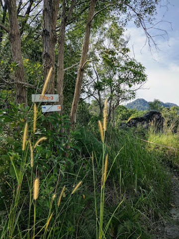 Bukit Batu Putih Gopeng Trail