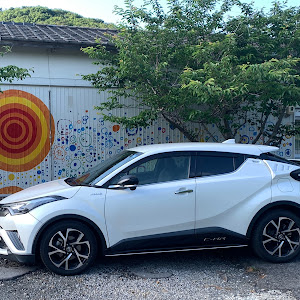 C-HR ZYX10