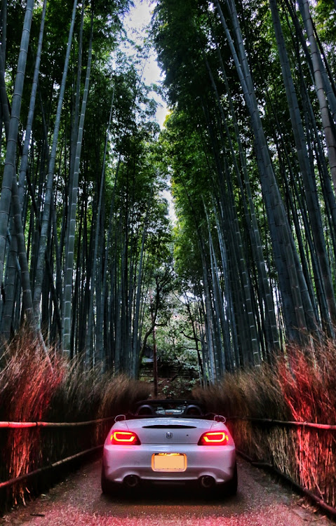 S2000の明朝・竹林・京都・ドライブに関するカスタム事例の投稿画像2枚目