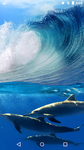 Water Effect: Dolphins