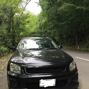 ステージア NM35