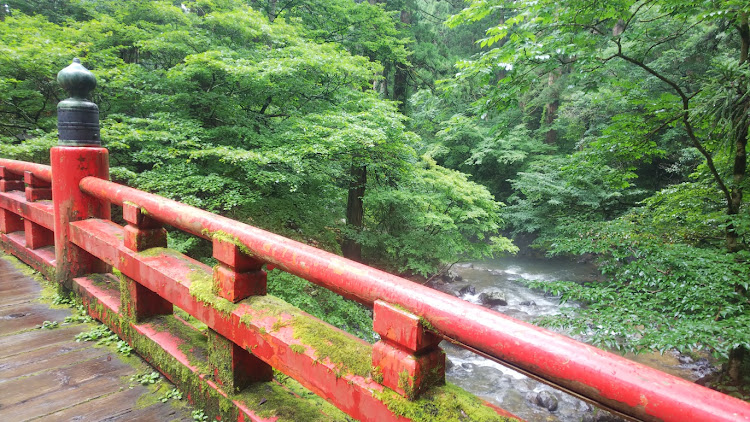 N-ONEの自粛疲れ、限界突破・山形県・お盆休み・熱中症に気をつけて!!・五重塔に関するカスタム事例の投稿画像12枚目
