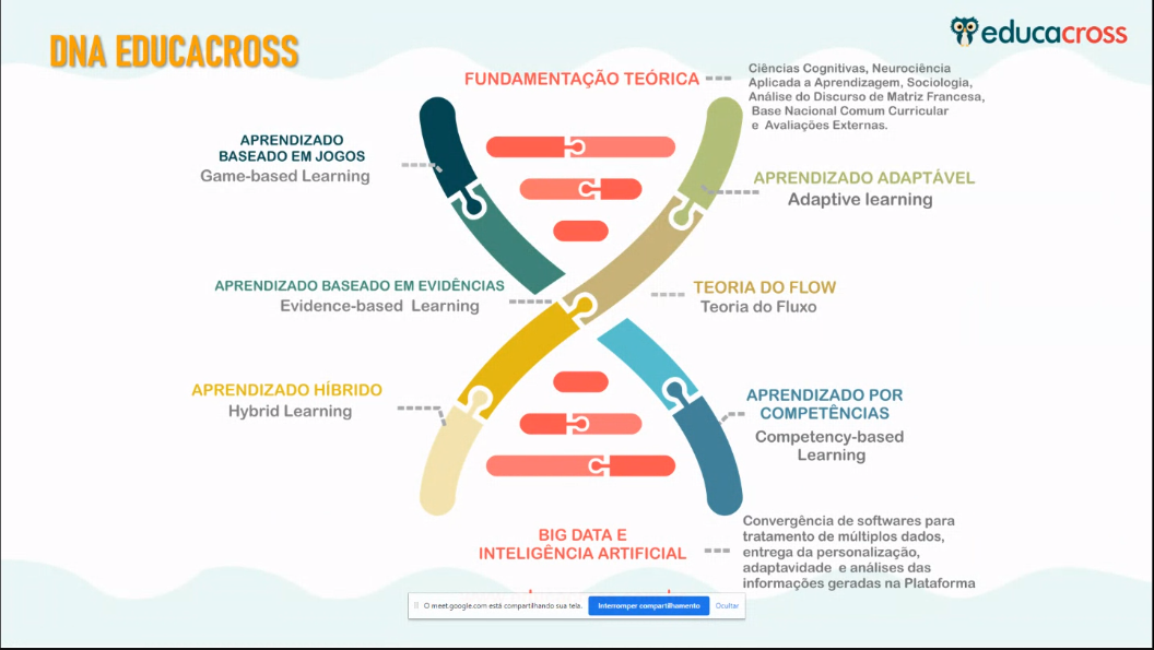 Experiência de fluxo em jogos didácticos