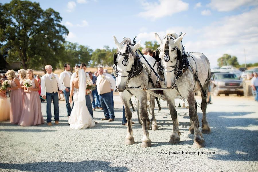 Fotografo di matrimoni Jennifer Haas (jenniferhaas). Foto del 8 settembre 2019