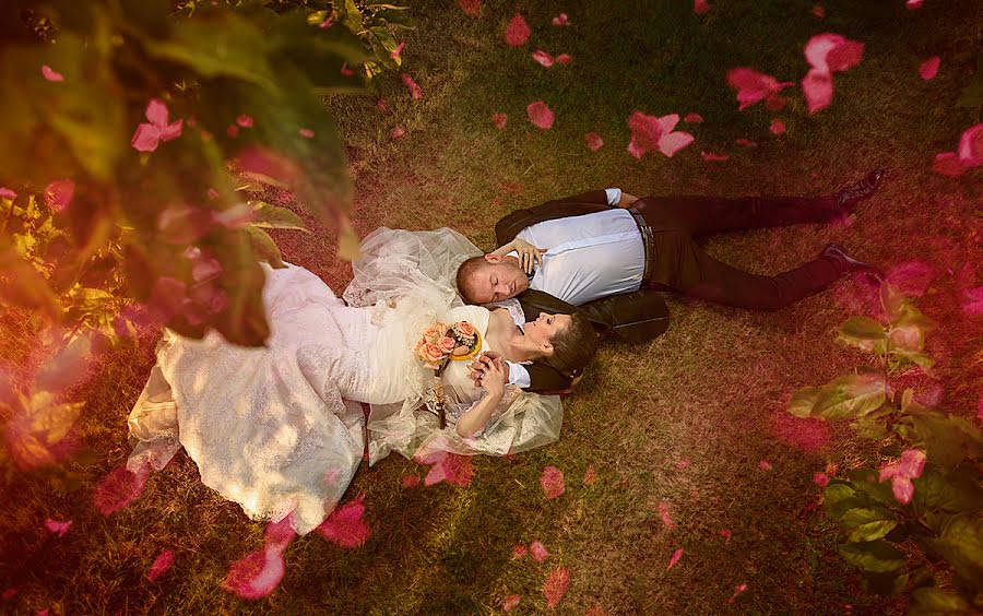 Fotógrafo de casamento Dejan Nikolic (dejan-nikolic). Foto de 25 de junho 2014