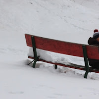 La panchina rossa di 