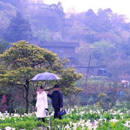 【竹子湖】苗榜花園餐廳