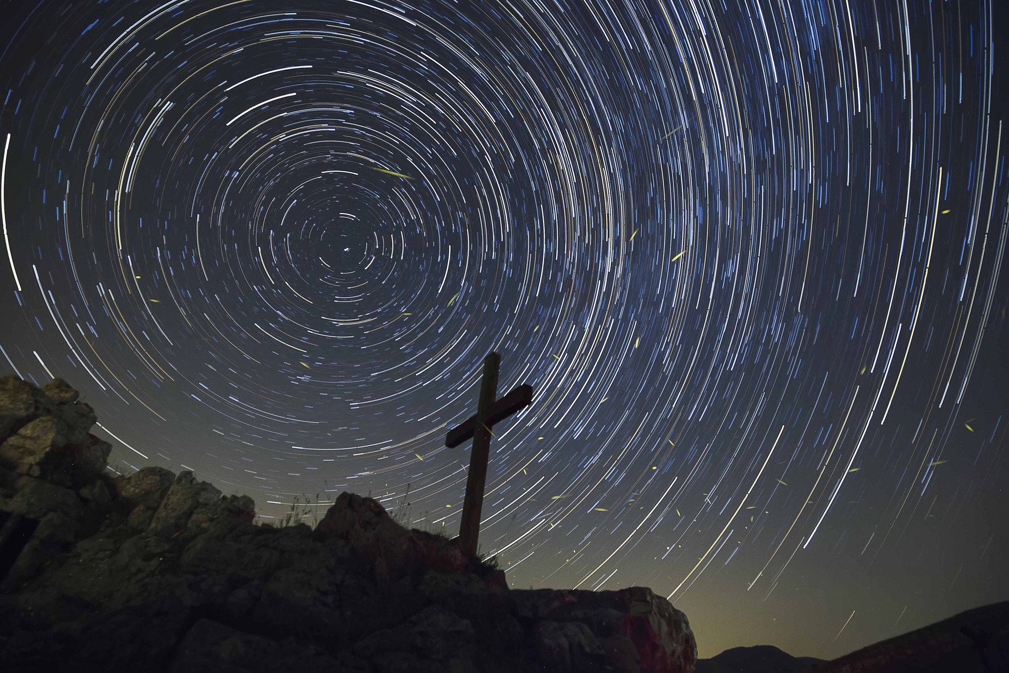 Armonia Universale di sandra tamasi