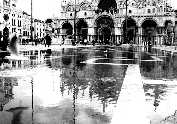 A filo d'acqua di Andrea F