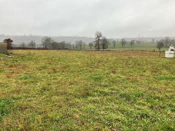 terrain à Jussac (15)