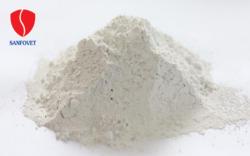 Vôi bột