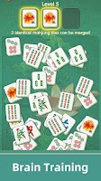 Mahjong Fun Screenshot