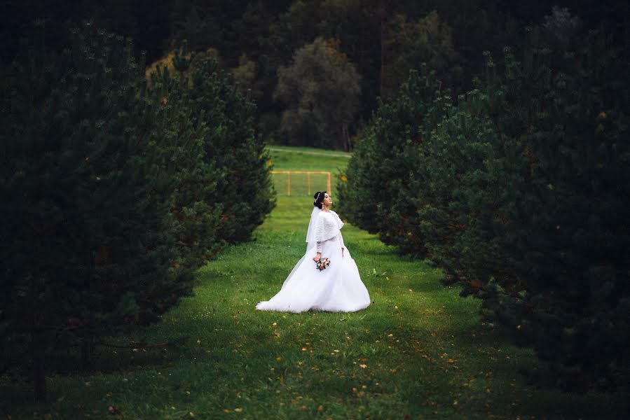 Wedding photographer Yuriy Sushkov (hors). Photo of 8 January 2015