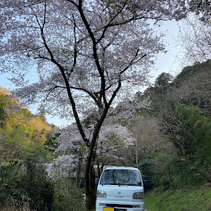 ハイゼットトラック S200P