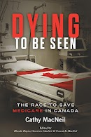 Dying to be Seen cover