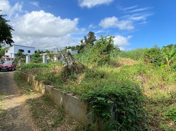 terrain à Saint Pierre (974)