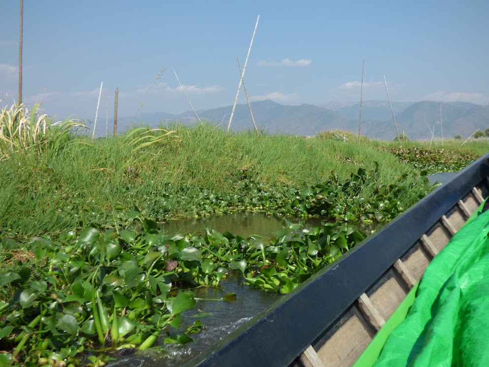 lac inle