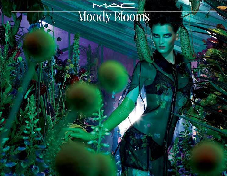 MAC Moody Blooms