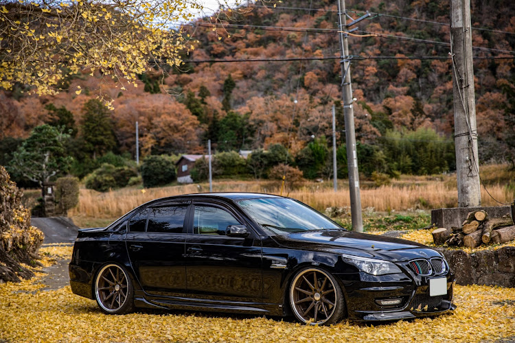 525iハイラインの2023ベストショット12月・12月にエントリーします・E60・銀杏とコラボに関するカスタム事例の投稿画像3枚目