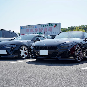 Z4 ロードスター G29