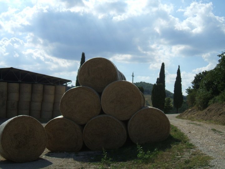 A di fieno di Sakti