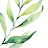 Lovely: plants care journal icon