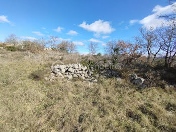 terrain à Lussac (33)