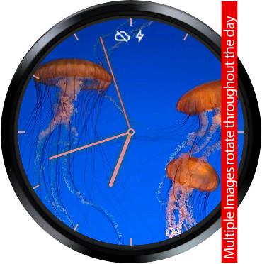 Sea Life 1 Watch Face