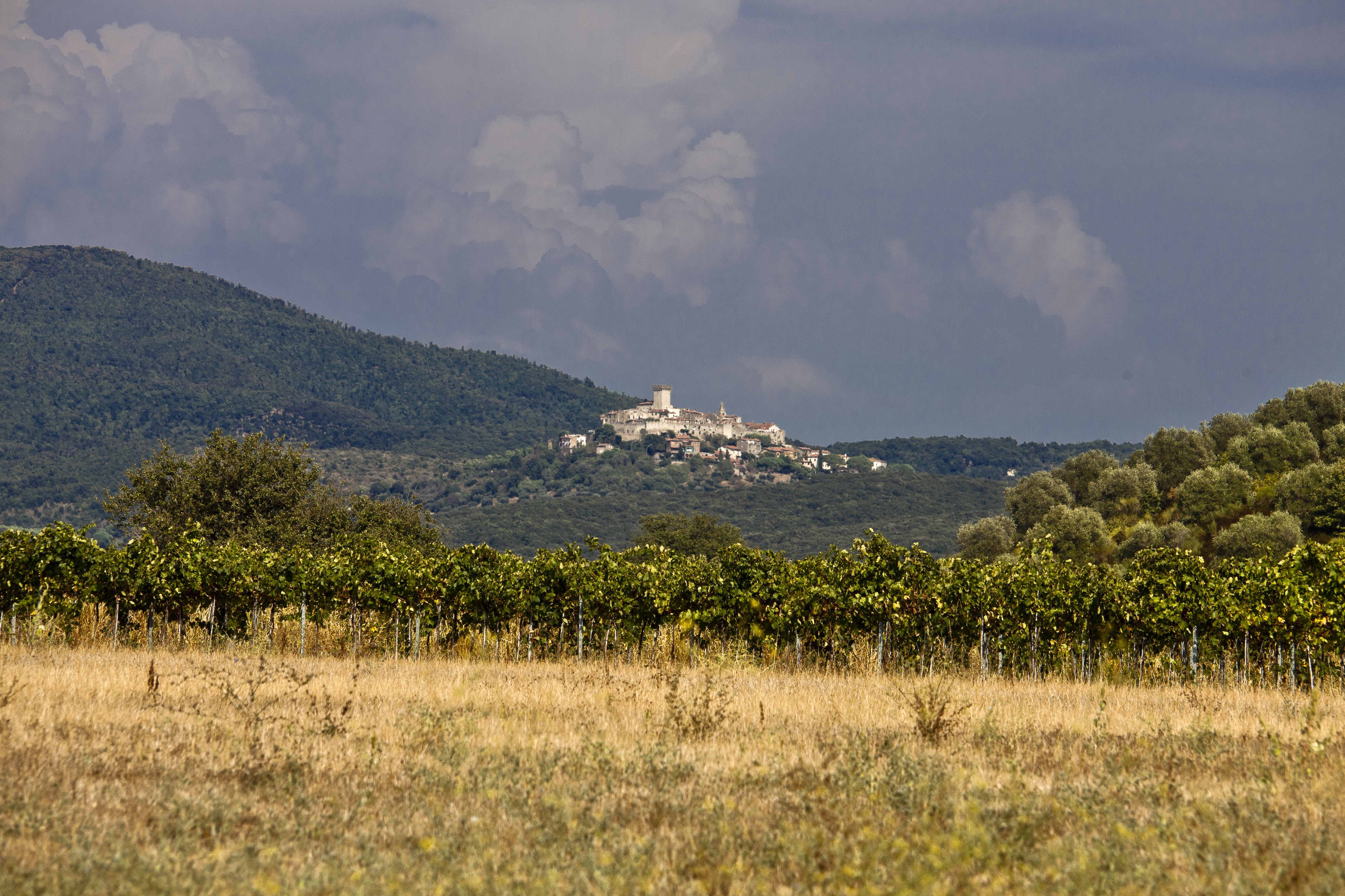 Capalbio en de Valle d'Oro