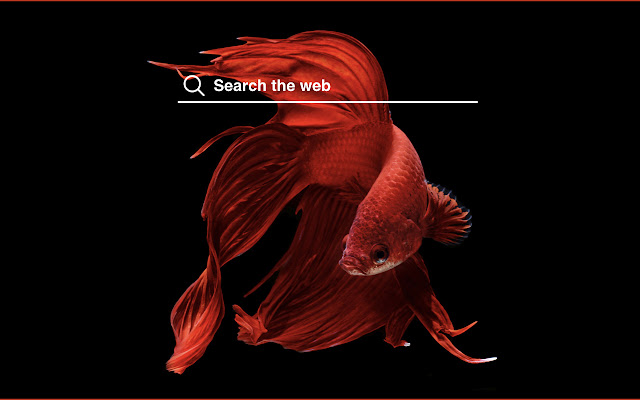 Betta Fish iOS Wallpapers Theme