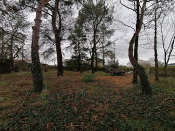 terrain à Saint-Hilaire-de-Clisson (44)