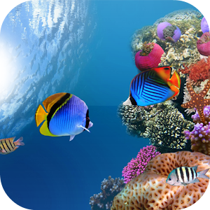 Underwater Frames Photo Editor 1.0