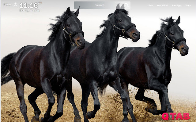 Horses Animals Wallpapers New Tab