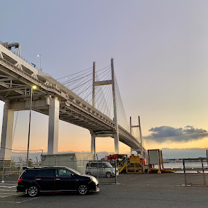 ウイングロード NY12