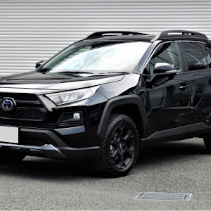 RAV4 MXAA54