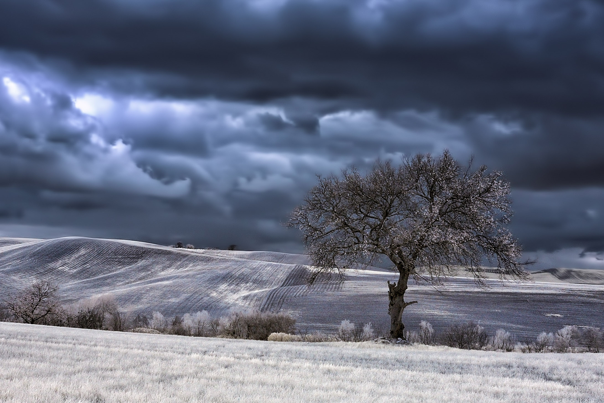 Infrared clouds di utente cancellato