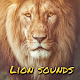 lion roaring sounds Download on Windows