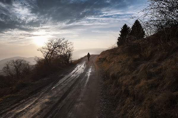 Ho sognato una strada di Raff_a