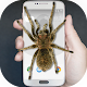 Download Spider on Screen Simulator For PC Windows and Mac 1.0