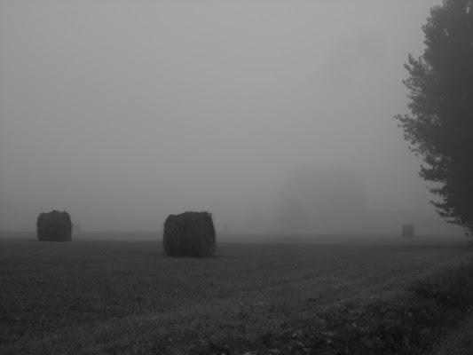 Campagna d'ottobre di dinophis