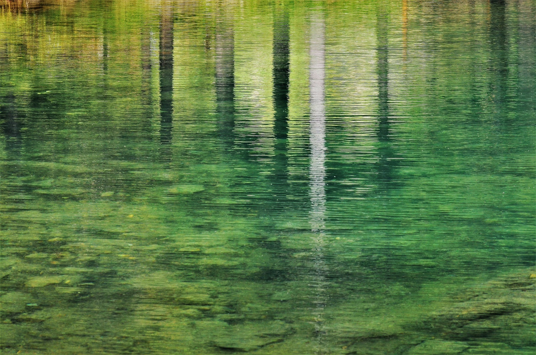 Un lago...i suoi colori di ely50