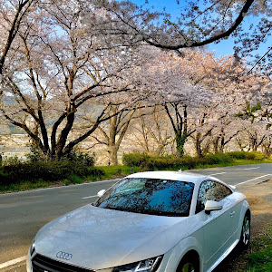 TT クーペ 1.8TFSI