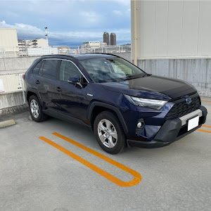 RAV4 AXAH52