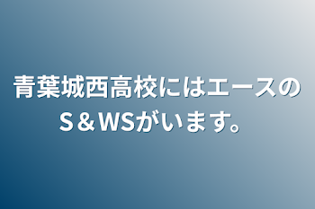 青葉城西高校にはエースのS＆WSがいます。