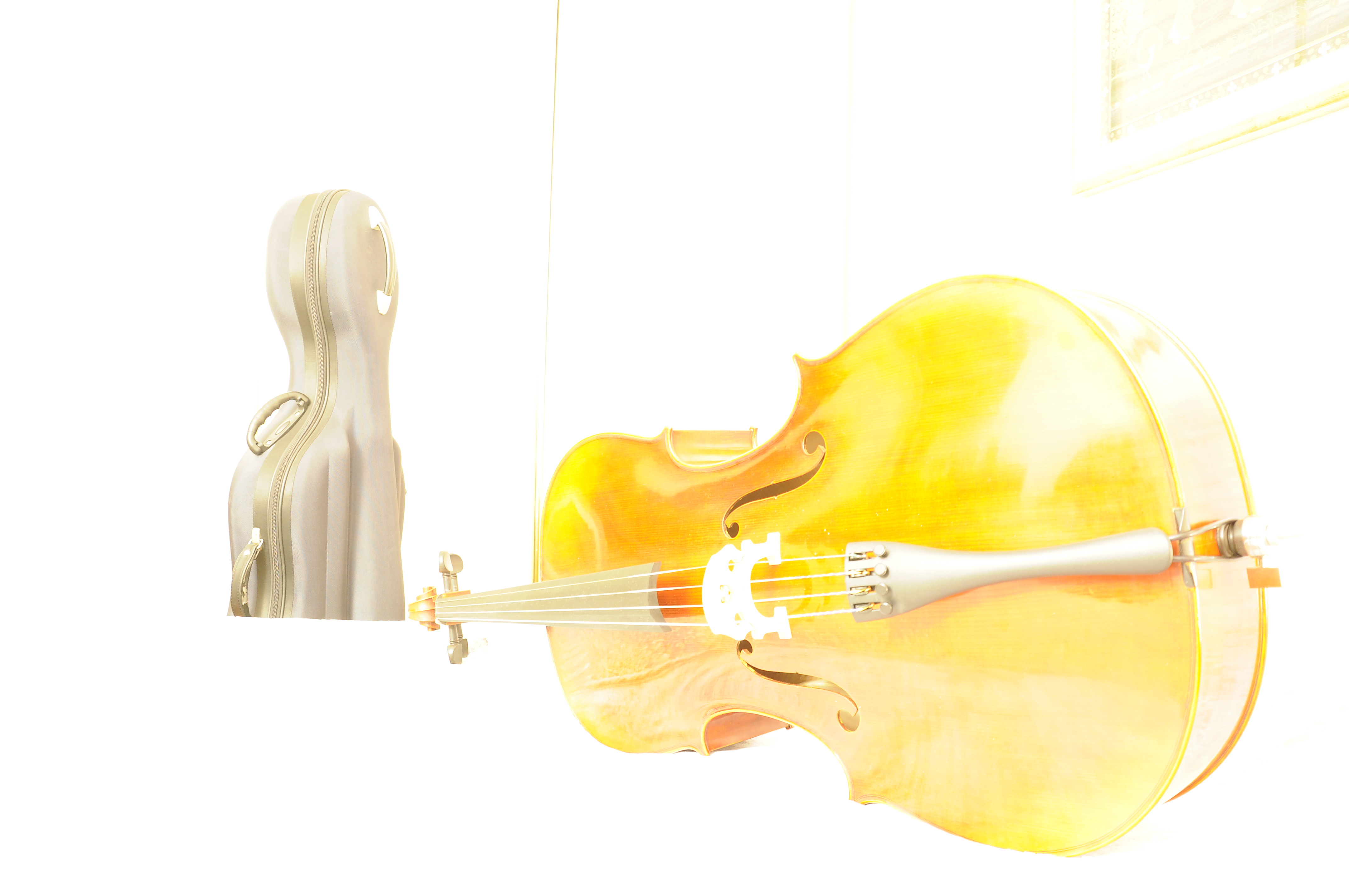 Violoncello di Giomi